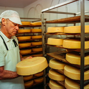 Ogleshield | Montgomery Cheddar | Somerset Cheese | British Cheese